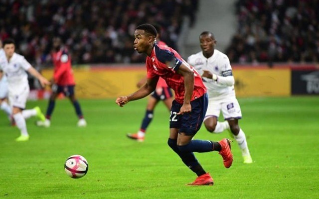 全明星不仅 全明星不仅